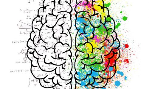 neuropsychologie dans spécialité+ Blog neuropsychologie dans spécialité+ Blog